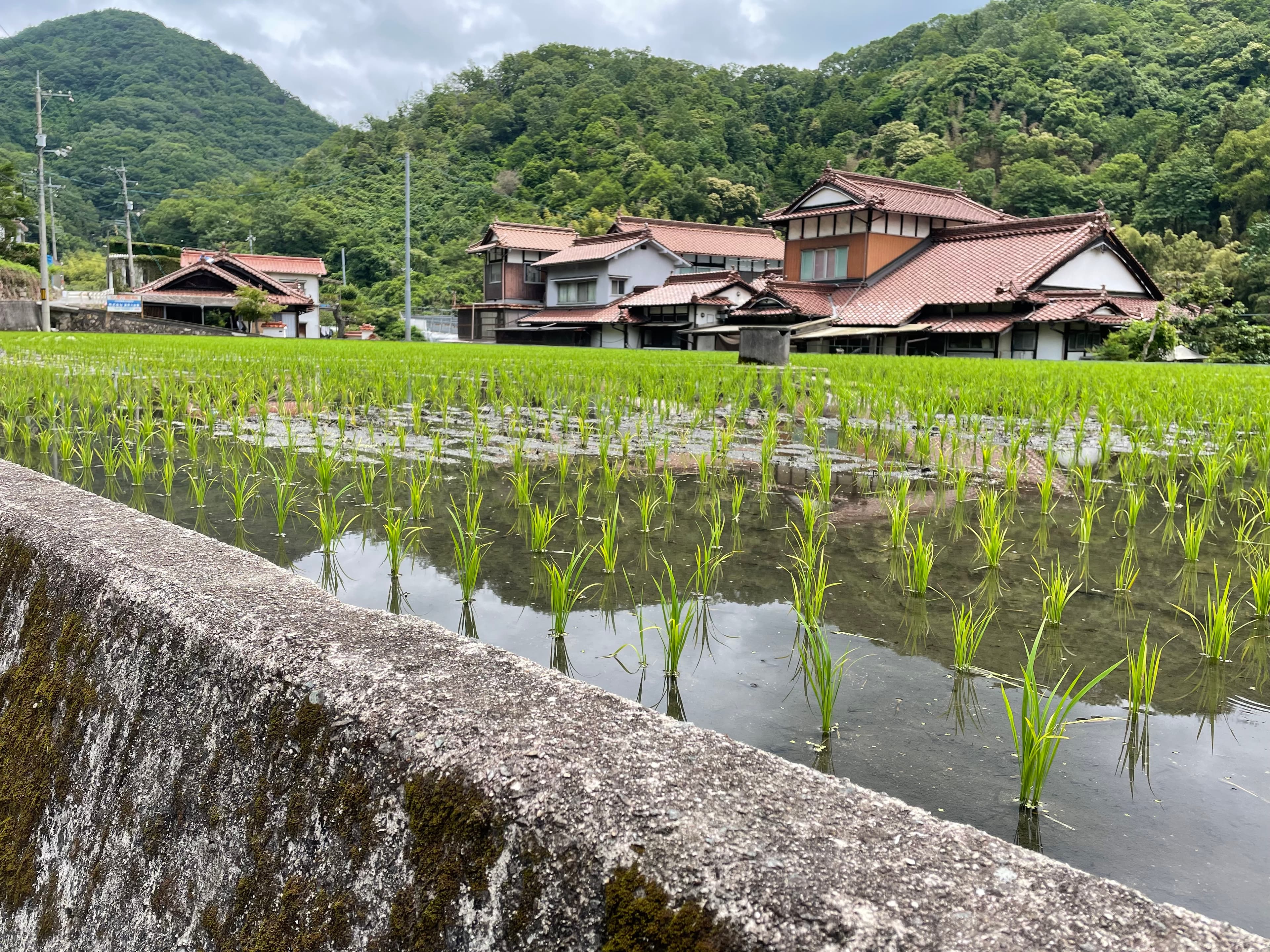 Ghibli-esc Kyushu Countryside